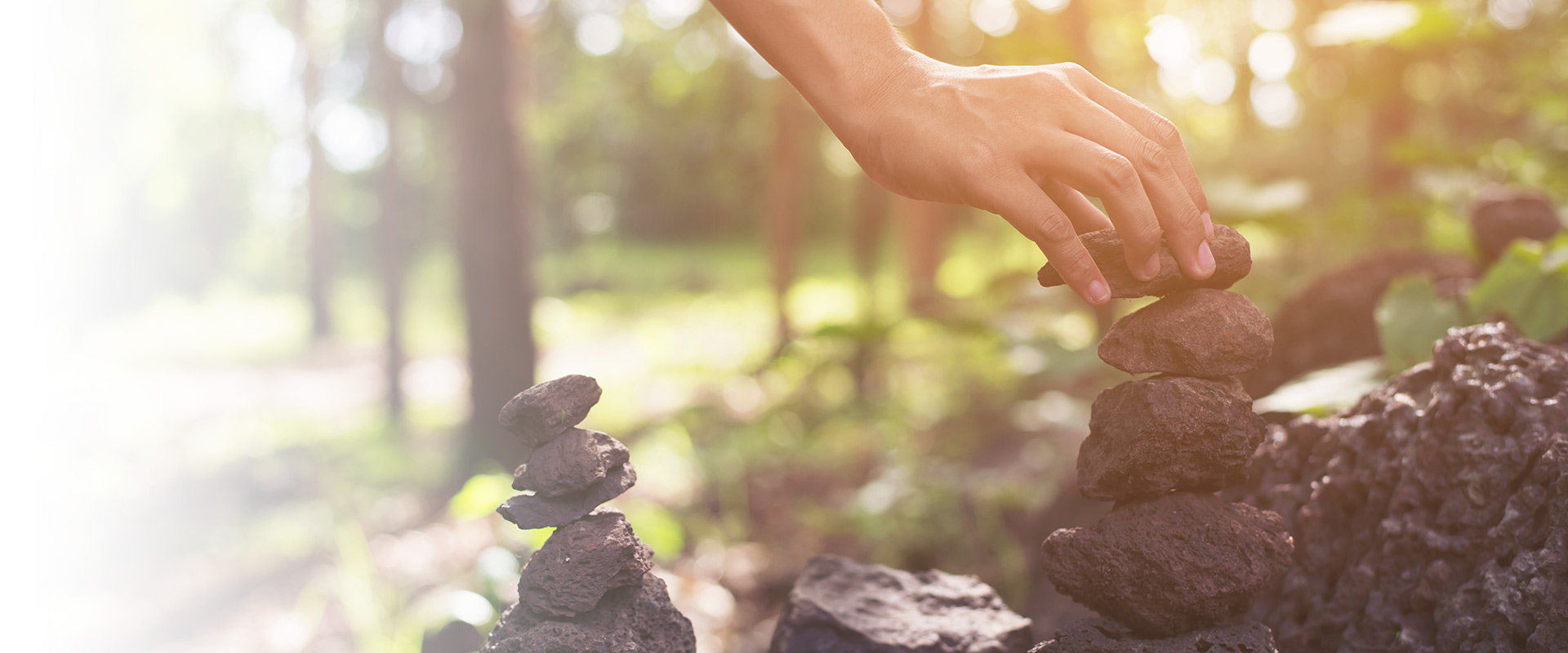 systemisch-integratives-naturcoaching